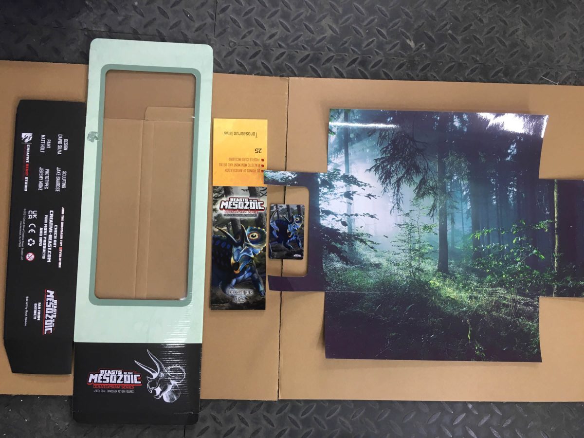 wave3package6