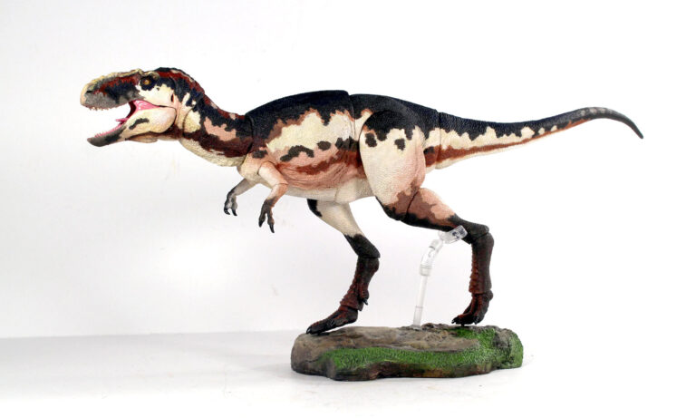 1/18 Teratophoneus curriei
