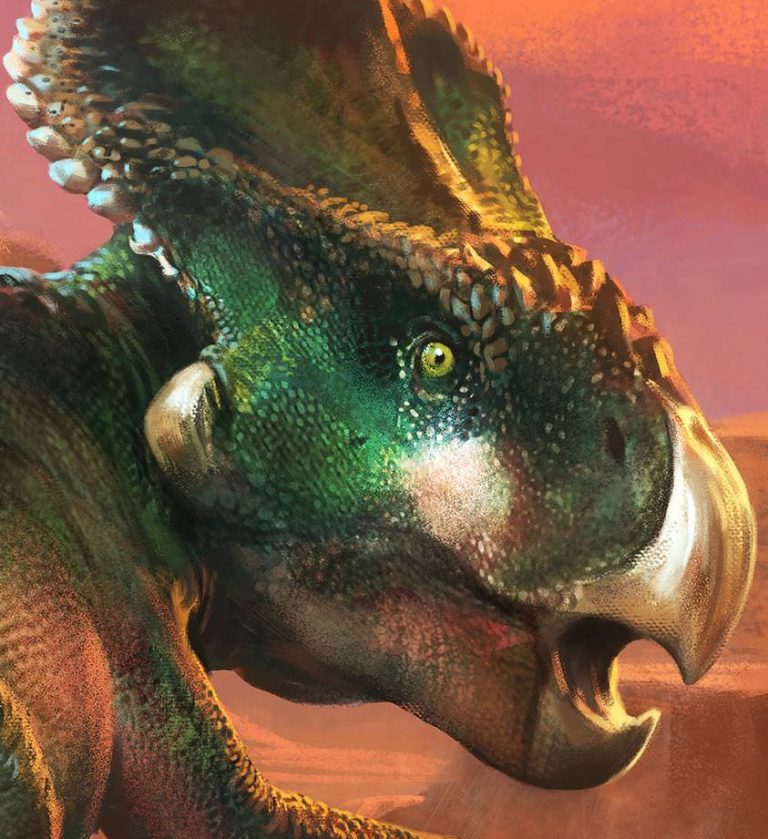 Package Art reveal by Raph Lomotan coming soon!