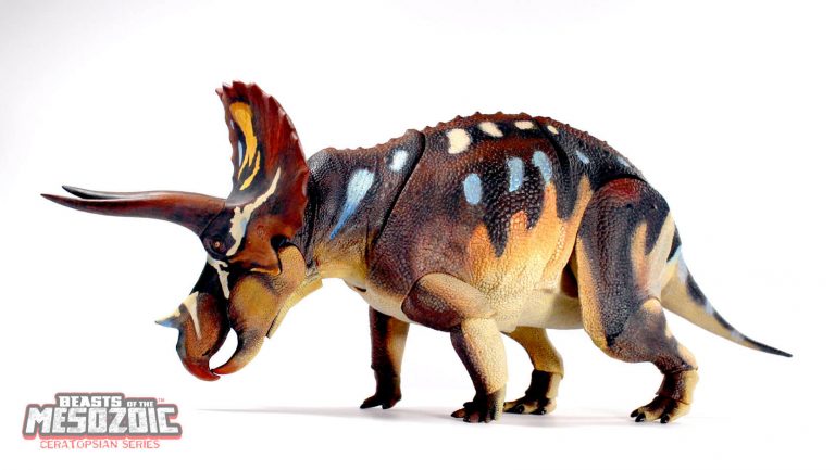 Updated on Adult Triceratops Shipping