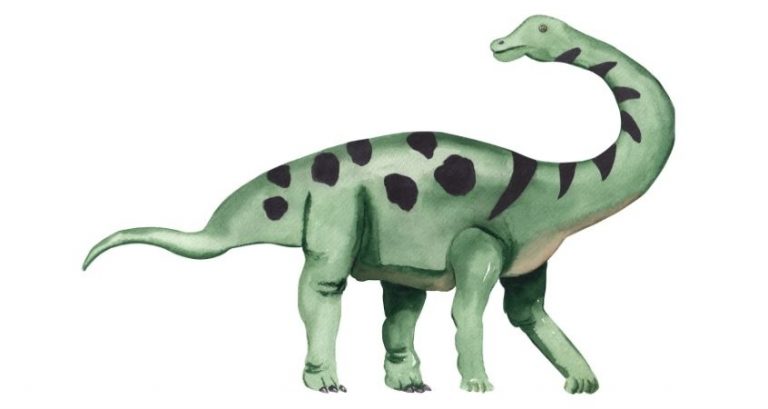 creativebeaststudio-109949-dinosaurs-cretaceous-period-blogbanner1 Biggest Dinosaurs of the Cretaceous Period