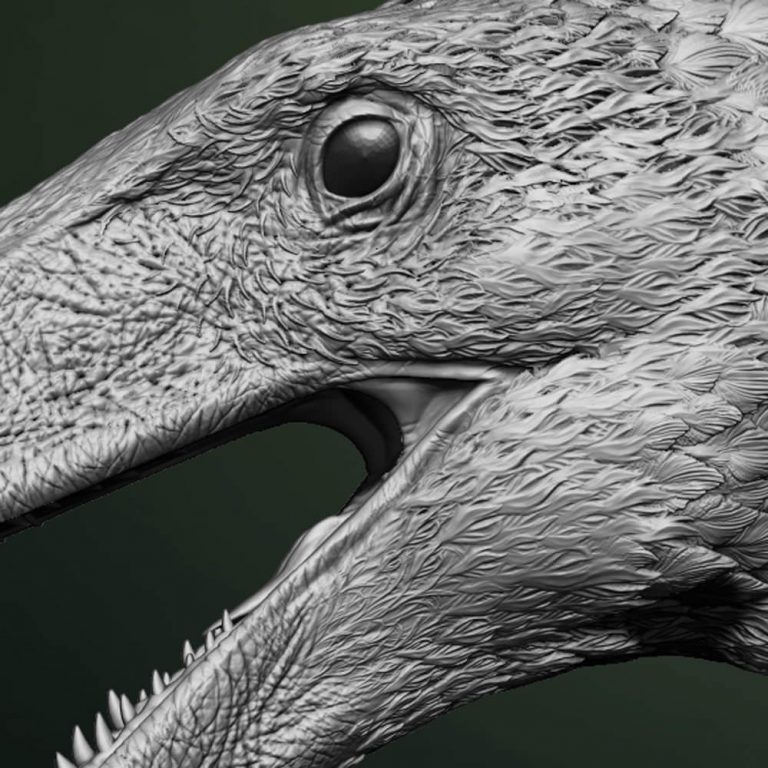 Teaser Tuesday- new dino in the works!