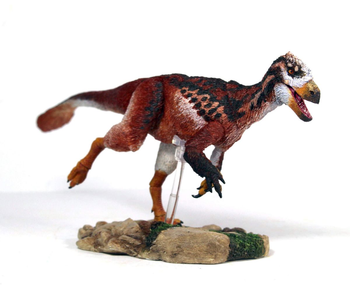eoty6