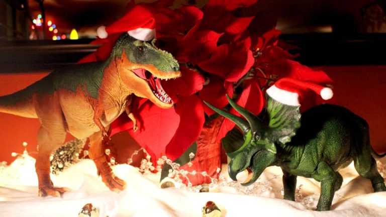 Merry Christmas everyone and best wishes for an amazing year in 2022!