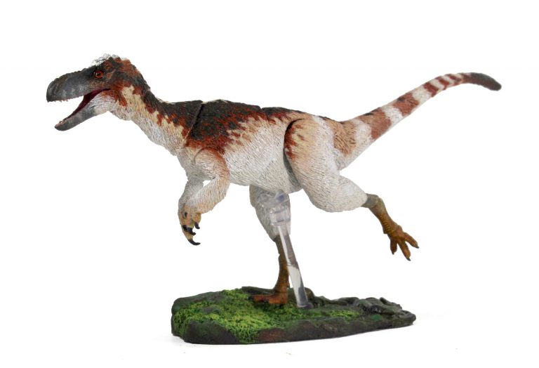 1/18 Suskityrannus hazelae