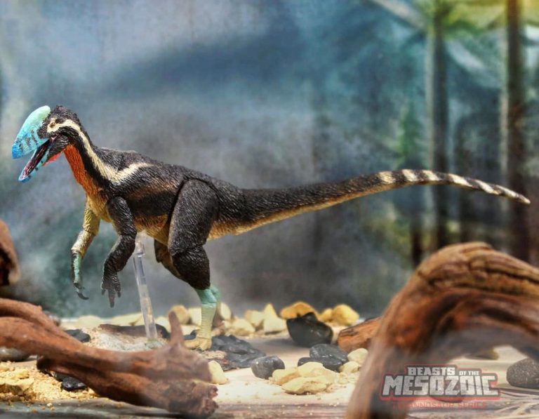 gualong Guanlong wucaii catalog shot!