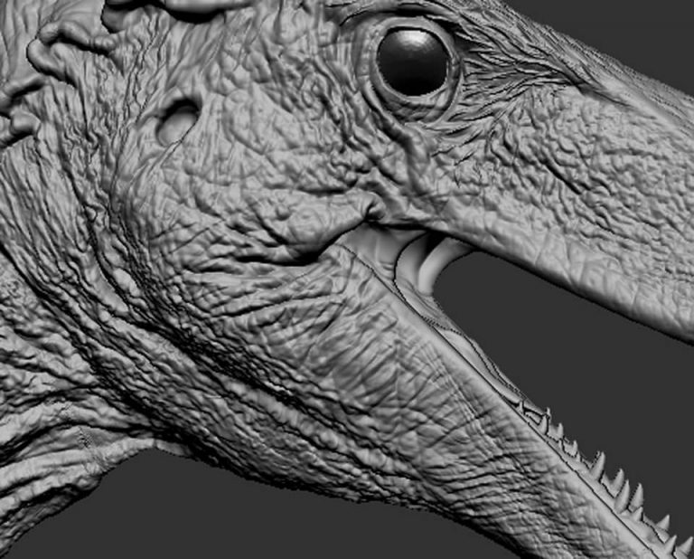 New raptor in the works!