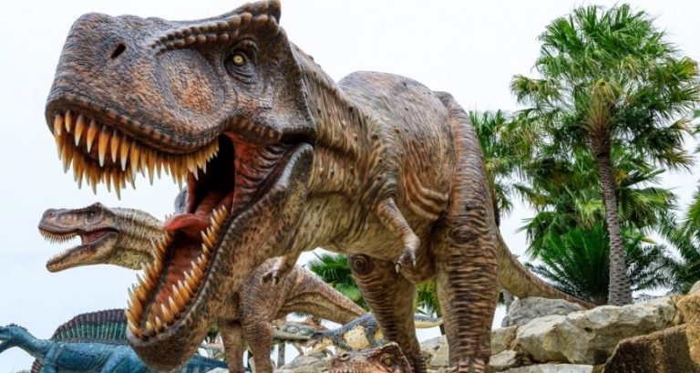 The Different Dinosaurs of the Mesozoic Era