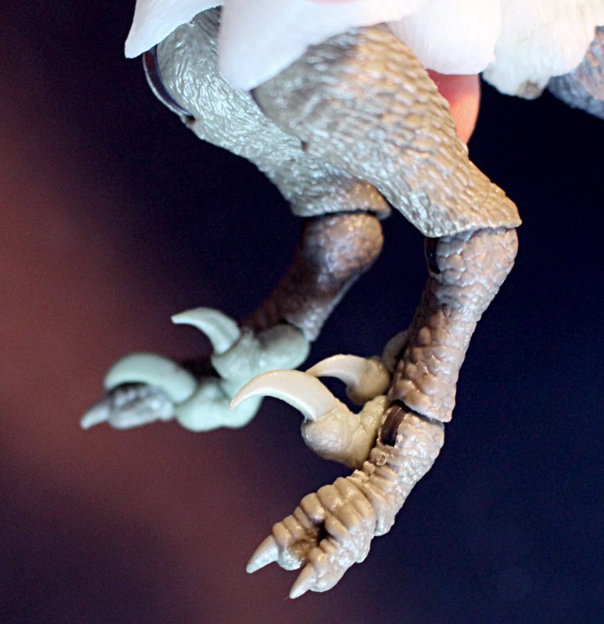 Build-A-Raptor now with interchangeable legs! - Welcome to Creative ...