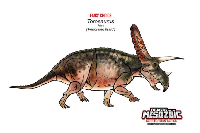 Fans’ Choice Torosaurus color design