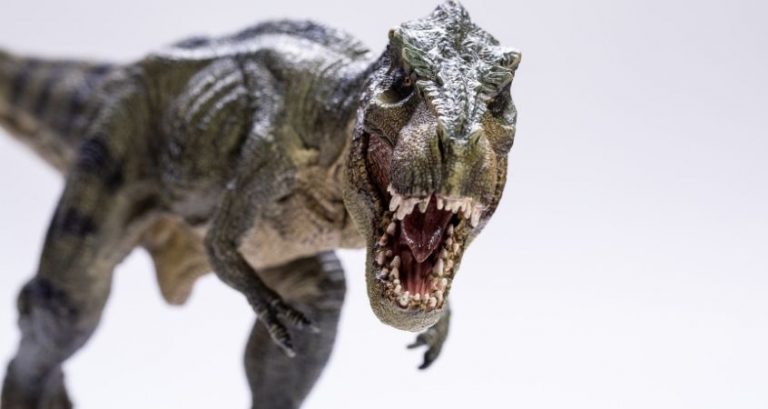 The Difference Between Resin and Plastic Model Kits