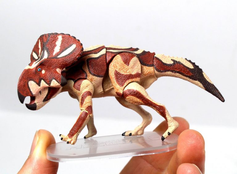 Protoceratops a., Protoceratops h., and Psittacosaurus!