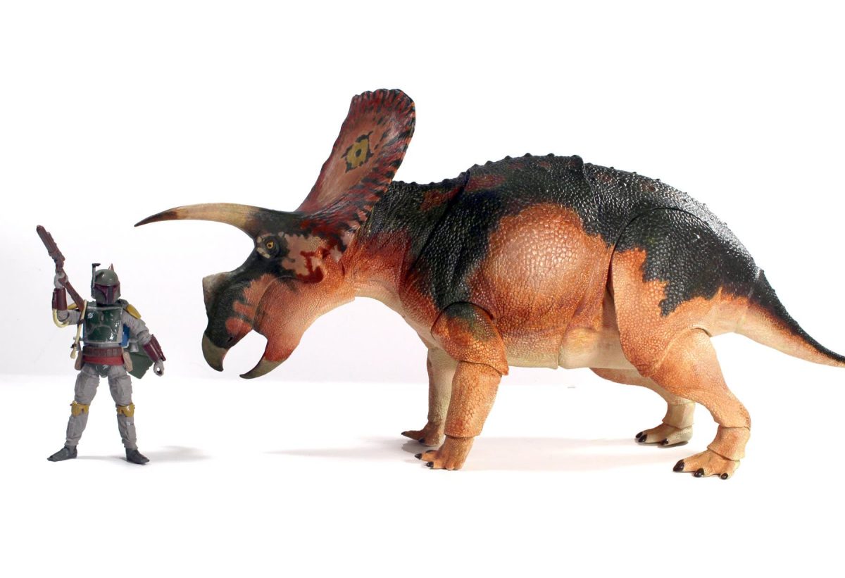 triceratops10