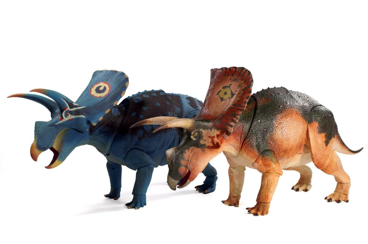 triceratops11