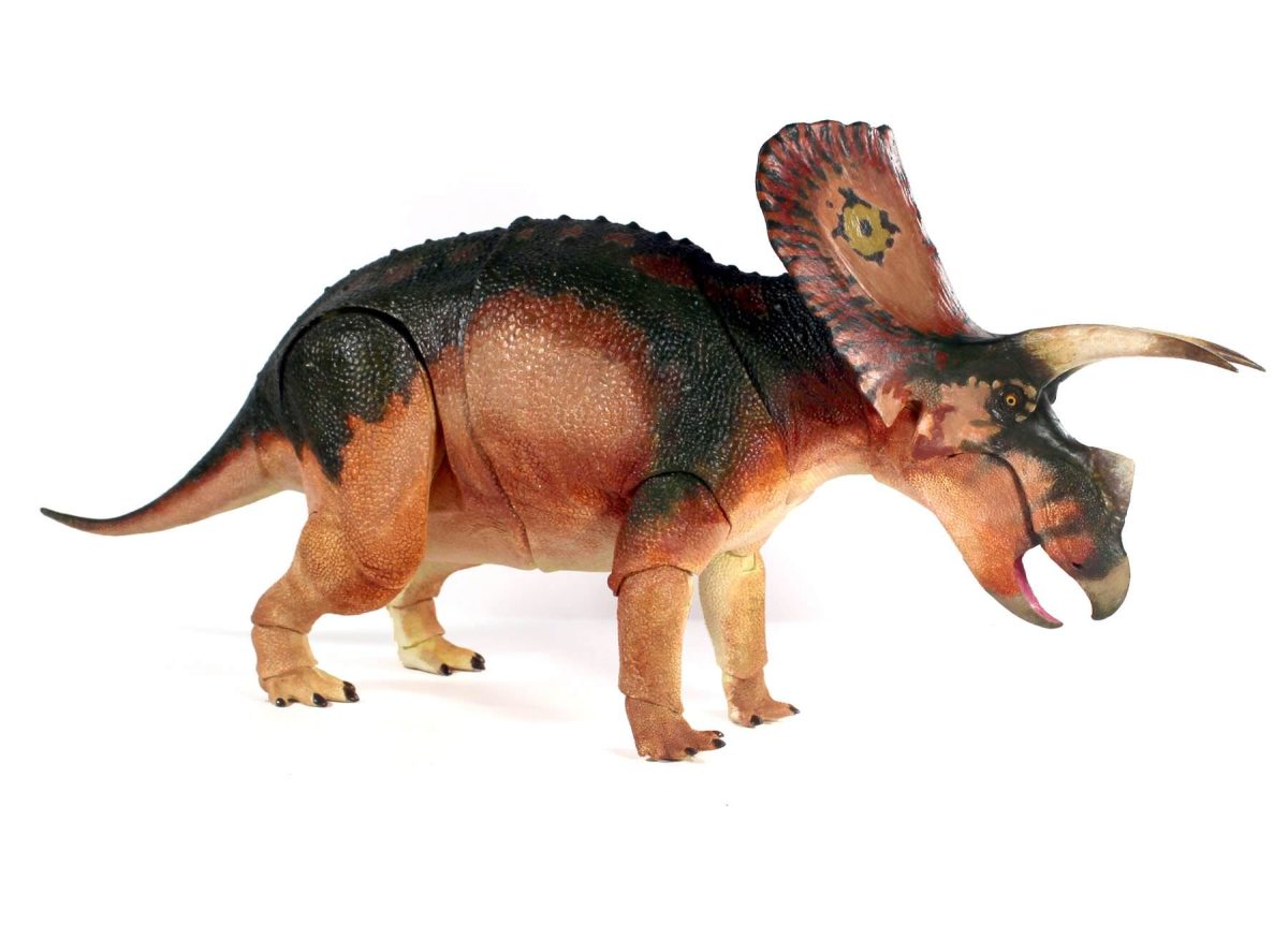 triceratops5