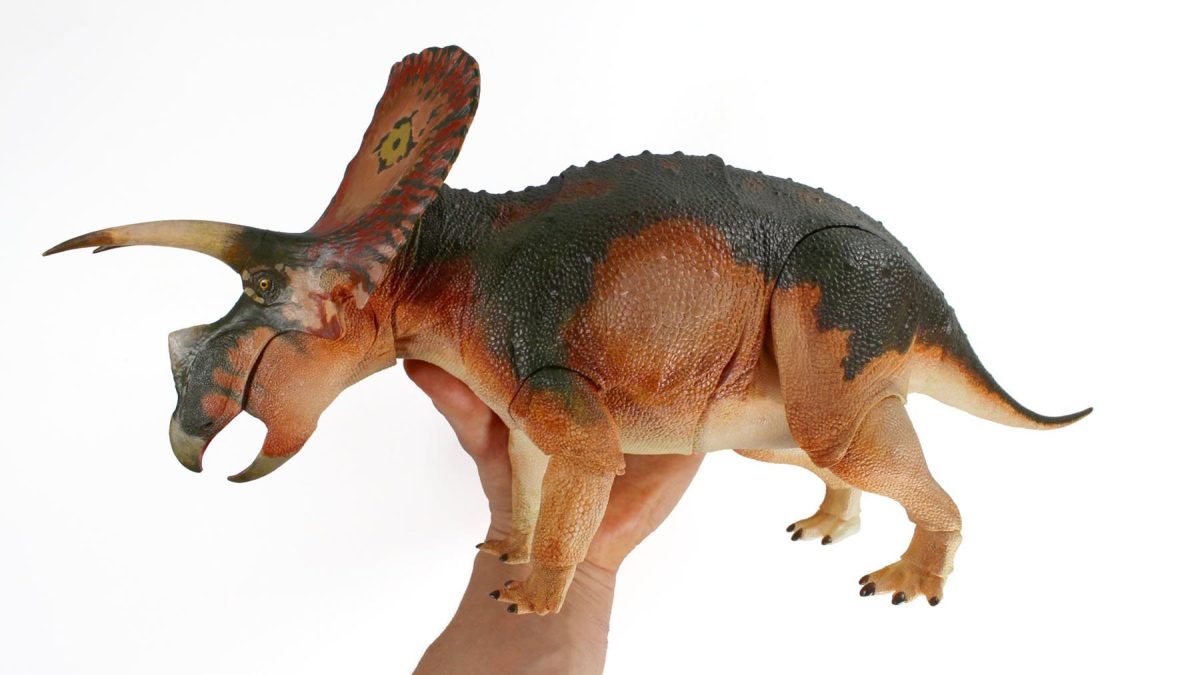 triceratops9