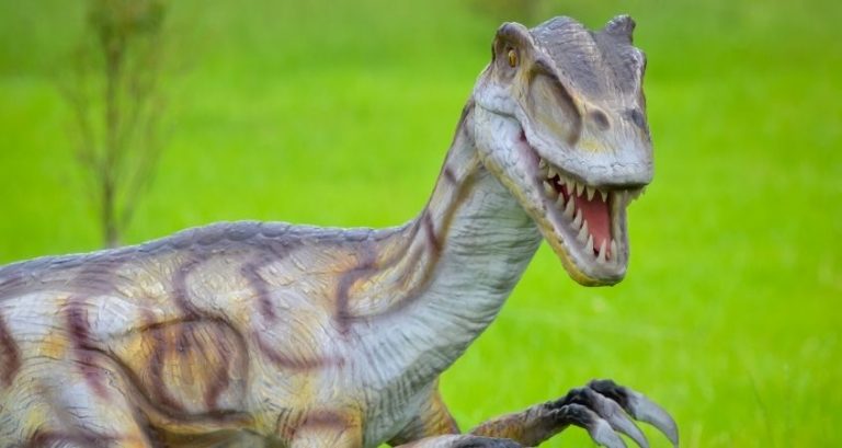 What To Look For When Purchasing Velociraptor Action Figures