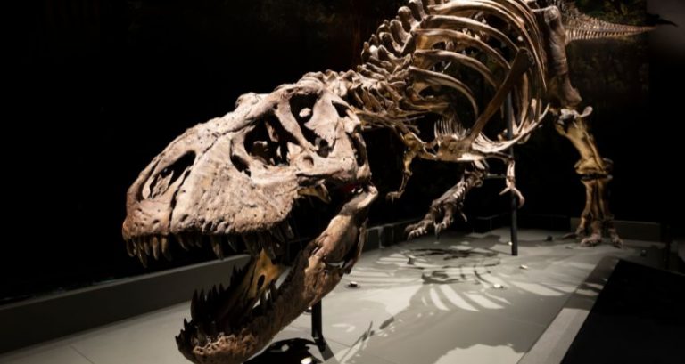 3 Common Misconceptions About the Mesozoic Era