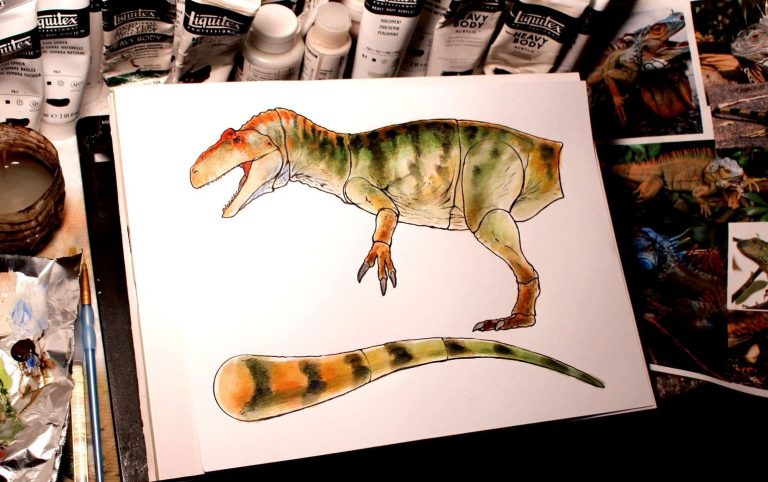 Color design Allosaurus