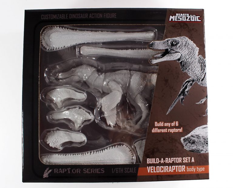 New BOTM Build-a-Raptors in package