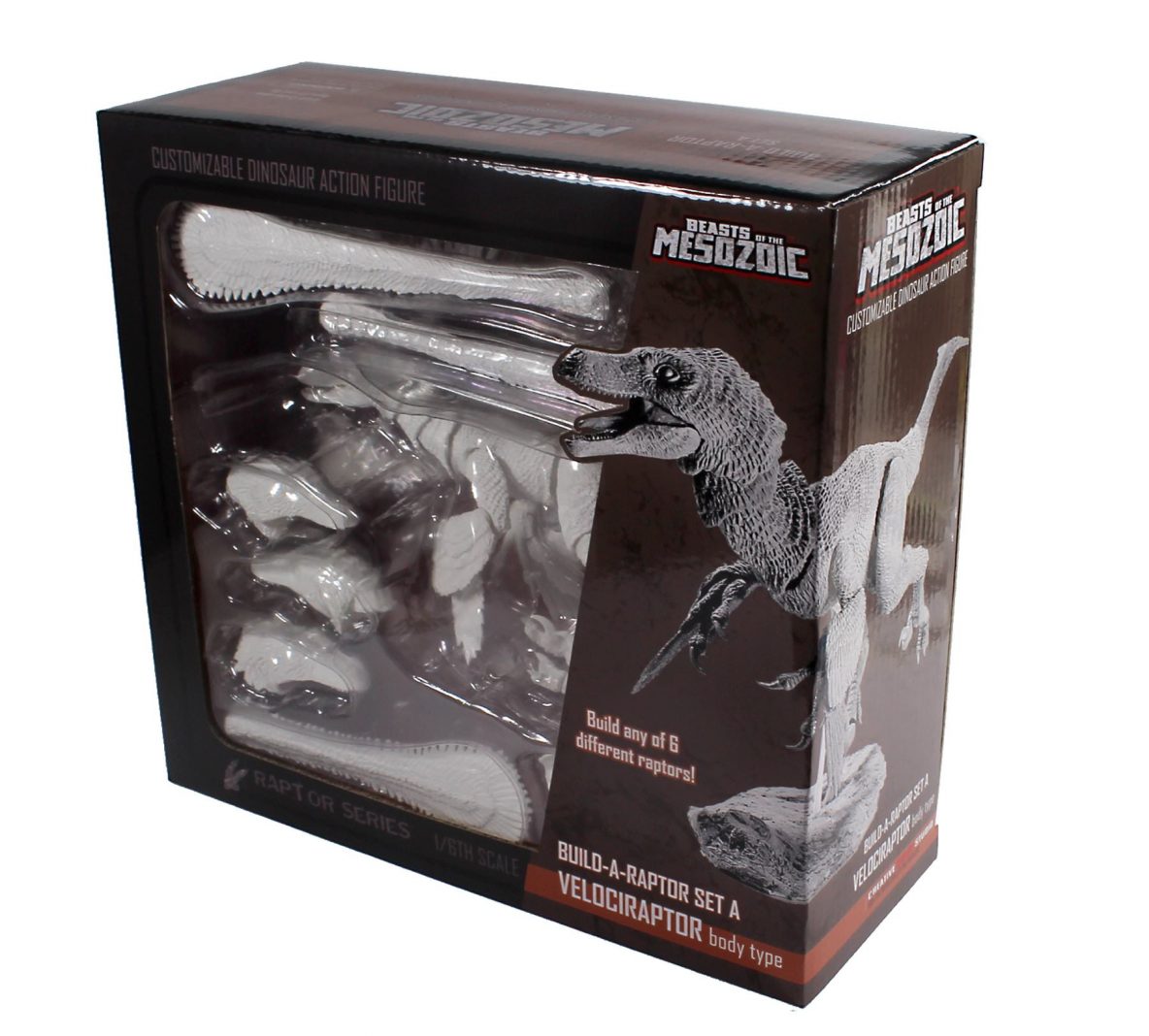 New BOTM Build-a-Raptors in package - Welcome to Creative Beast Studio