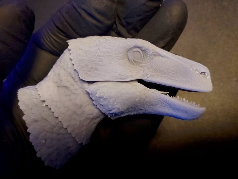 3d printed head of the 1/18th scale Utahraptor
