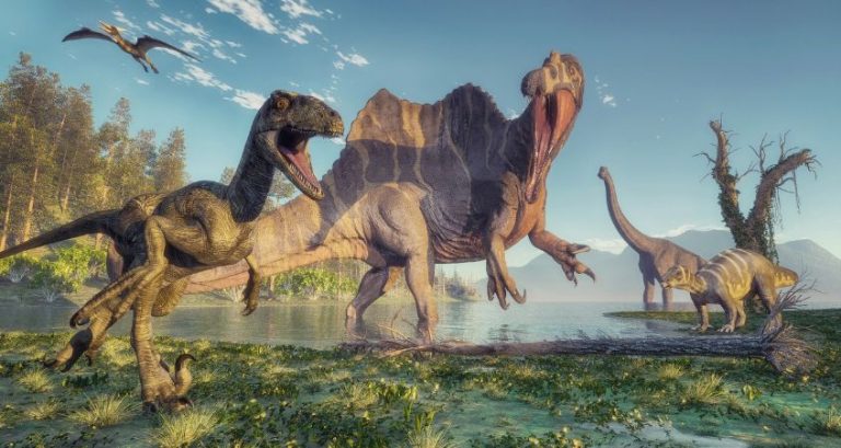 A Guide to the Different Dinosaur Habitats