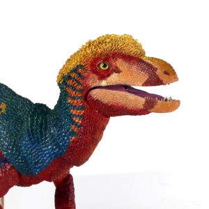 Dilong paradoxus 1/6th - dinosaur action figure collectible