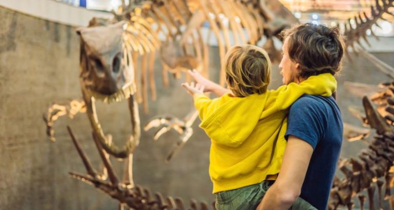 Why It's Important To Learn About Dinosaurs