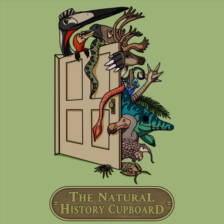 I was featured on The Natural History Cupboard Podcast
