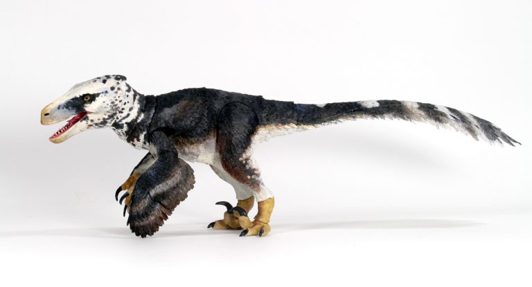 Cyberzoic 1/18 Utahraptor ostrommaysi painted prototype