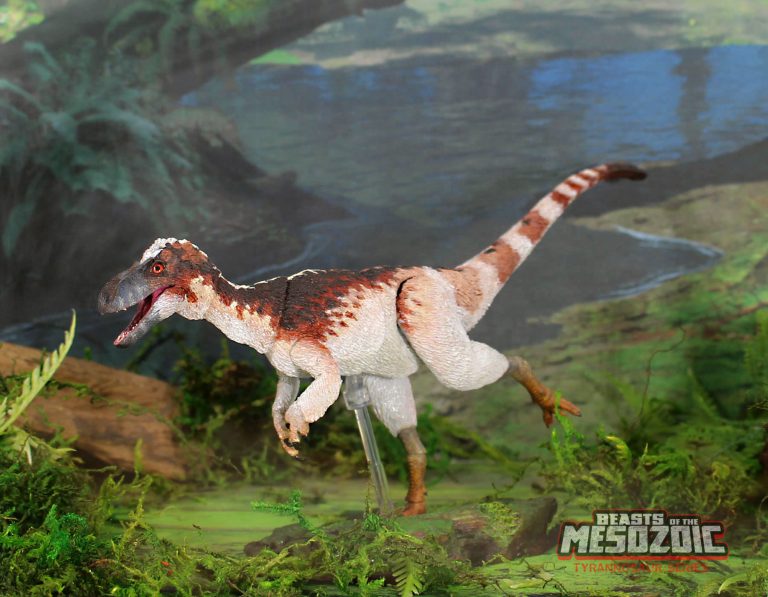 Trex Series: Suskityrannus Catalog Shots