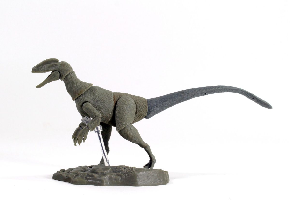 Guanlong wucaii2