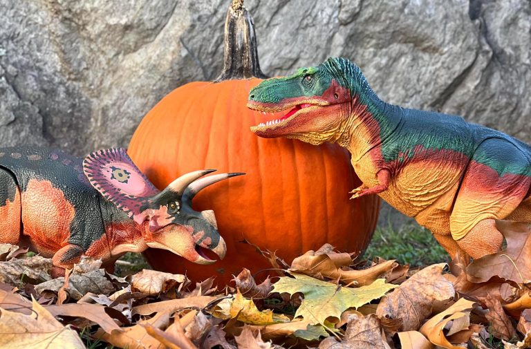 I wish you all a very Happy Thanksgiving!