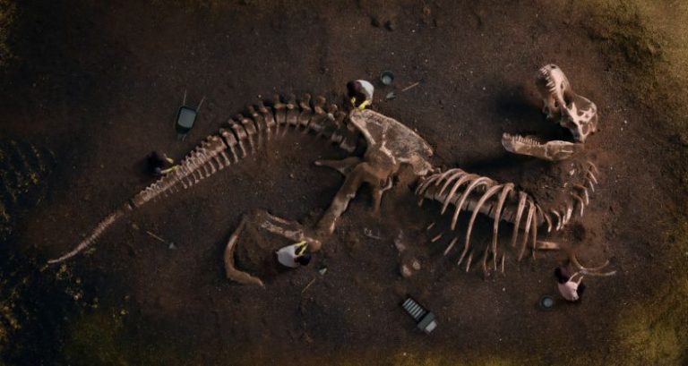 When Dinosaurs Lived According to the Geologic Timeline