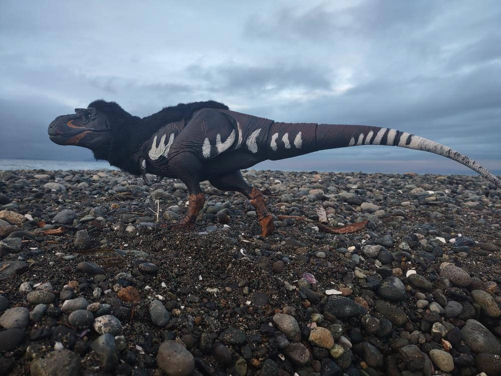 custom_Gorgosaurus