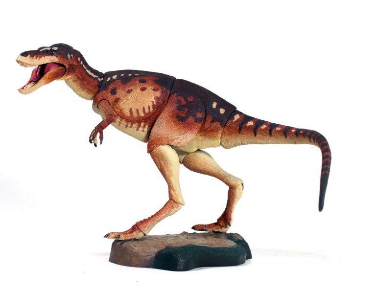1/18 juvenile Tyrannosaurus rex finished samples