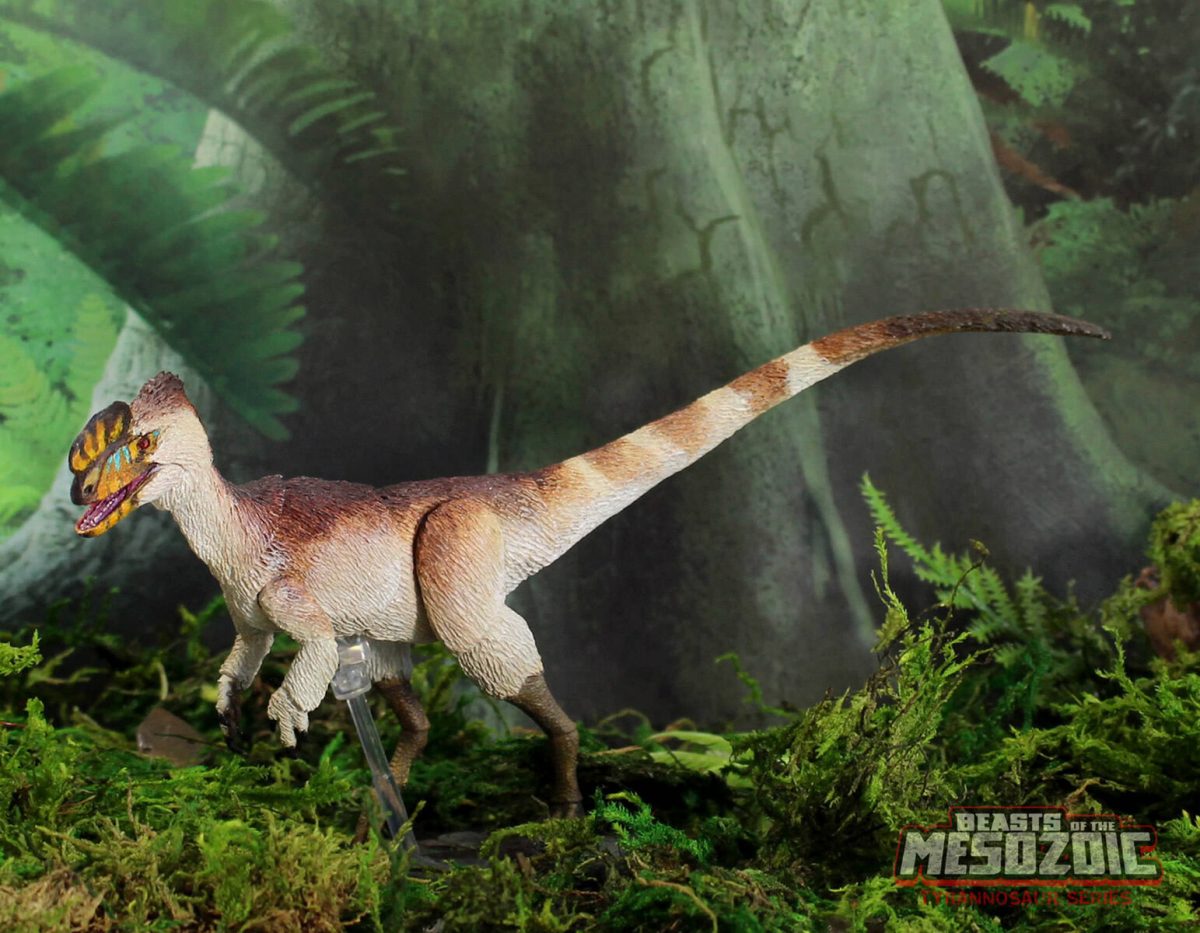 Proceratosaurus bradleyi