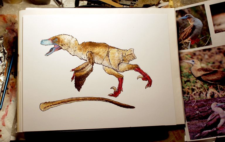 New color design of the Adasaurus & In-progress of the Acheroraptor