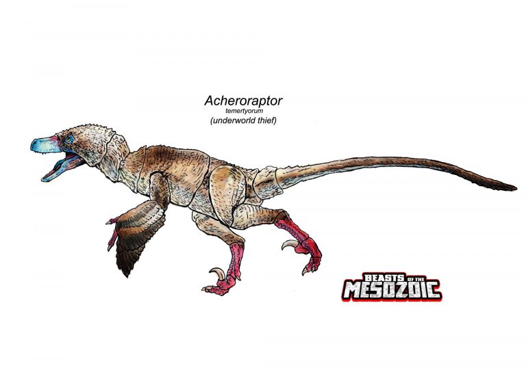 Color Design for the Acheroraptor V2