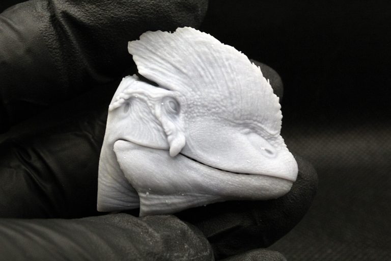 1/18 Dilophosaurus figure printed parts