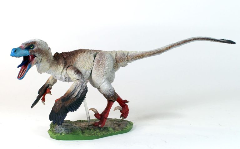 1/6 Acheroraptor temertyorum (vers. 2) Photo Gallery