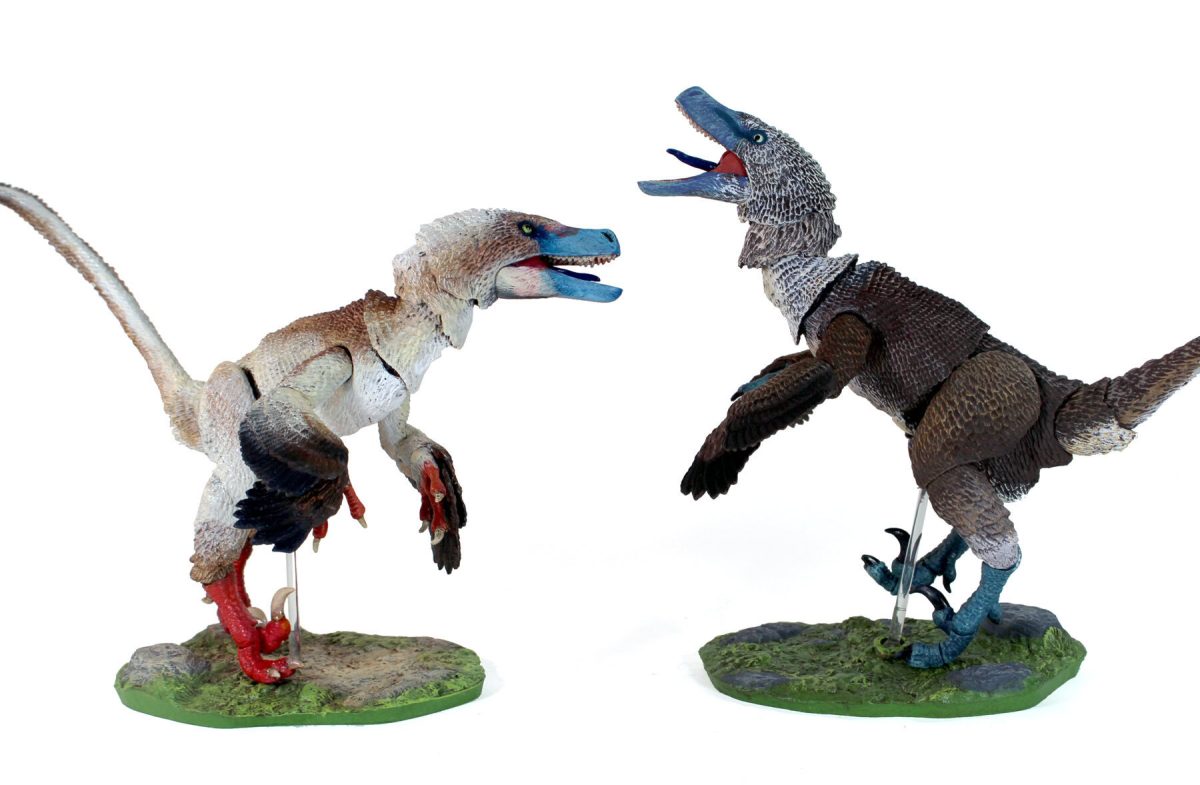 Acheroraptor temertyorum11