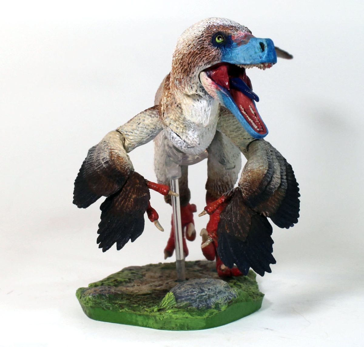 Acheroraptor temertyorum3