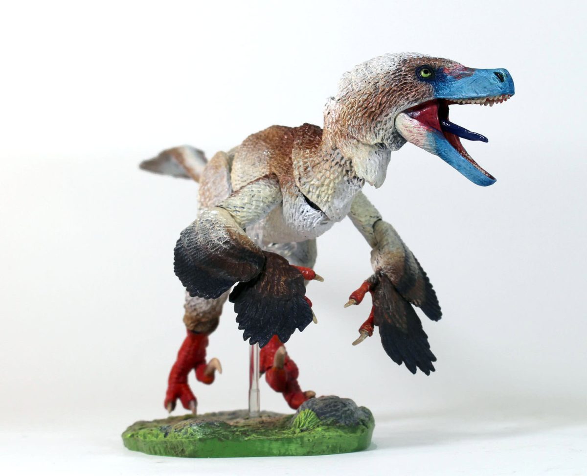 Acheroraptor temertyorum5
