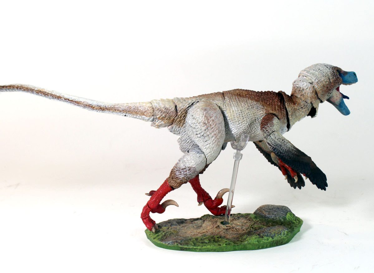Acheroraptor temertyorum7