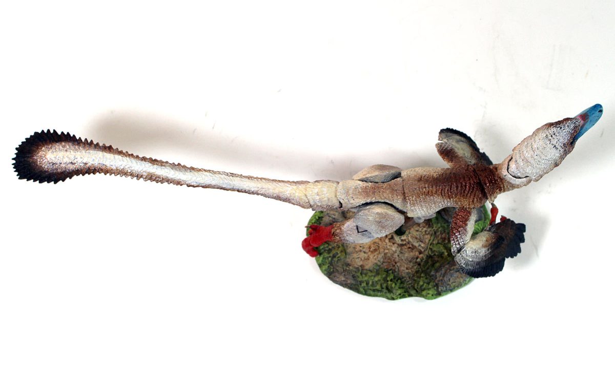 Acheroraptor temertyorum8
