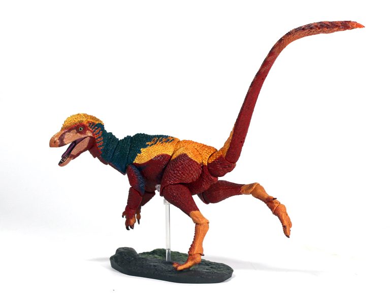 Final sample gallery of the 1/6th scale Dilong paradoxus!