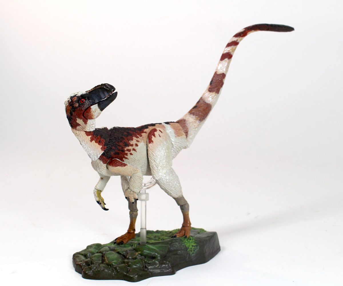 Suskityrannus6