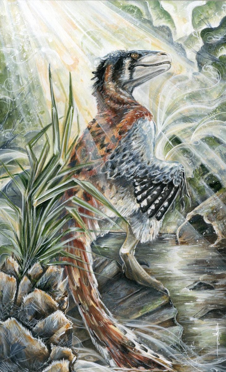 dromeosaur final copy